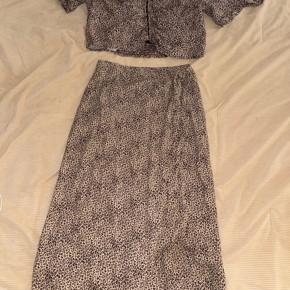 Leopard Print skirt and crop top set